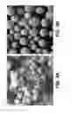 Fig. 04 - UTILIZATION OF SPHEROIDIZED TUNGSTEN IN SHAPED CHARGE SYSTEMS