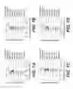 Fig. 08 - Tau protein-binding DNA aptamers with capture/detection and therapeutic utilities in tauopathy-related neurodegenerative disorders