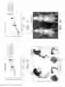 Fig. 03 - ANIMAL MODEL FOR STUDYING ZCCHC6 IN BONE DISEASE AND DEVELOPMENT