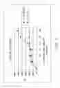 Fig. 04 - METHODS AND COMPOSITIONS FOR DETECTING FUNGI AND MYCOTOXINS