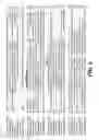 Fig. 08 - Beta lactamase as biomarker for the specific detection of tuberculosis-complex bacteria