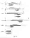 Fig. 03 - Tn-MUC4 binding polypeptides and uses thereof
