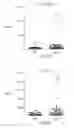 Fig. 48 - Tn-MUC4 binding polypeptides and uses thereof