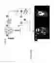 Fig. 03 - Rotaxane-type probe for molecular imaging