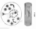 Fig. 07 - Rotaxane-type probe for molecular imaging