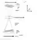Fig. 01 - Two-dimensional and three-dimensional fixed Z scanning