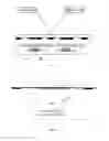Fig. 06 - Dual-view display panel and display device