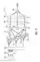 Fig. 09 - Automatic modeling for monitoring, diagnostics, optimization and control