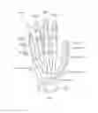 Fig. 02 - IMU-based glove