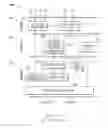 Fig. 03 - Hybrid analog-digital floating point number representation and arithmetic