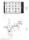 Fig. 06 - Method and apparatus for automatic processing of service requests on an electronic device