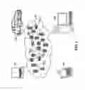 Fig. 02 - Semiconductor package metal shadowing checks