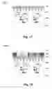 Fig. 12 - Absorption enhancement structure for image sensor