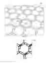 Fig. 10 - Stacked transparent pixel structures for image sensors