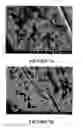 Fig. 06 - Method for Forming an Electrical Connection to a Conductive Fibre Electrode and Electrode So Formed