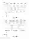 Fig. 07 - Projection system and automatic setting method thereof