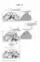 Fig. 03 - Motion vector calculation method, information processing apparatus, recording medium recording motion vector calculation program