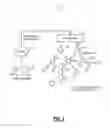 Fig. 02 - Controlled guest access to Wi-Fi networks