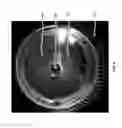 Fig. 06 - Collector pellicle
