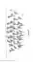 Fig. 07 - Apparatus and method for establishing and growing vegetation in arid environments