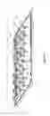 Fig. 09 - Apparatus and method for establishing and growing vegetation in arid environments