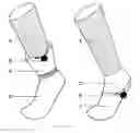 Fig. 02 - SOCK WITH GAITER INTEGRALLY FORMED