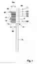 Fig. 02 - Head for an oral care implement and oral care implement