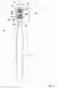 Fig. 02 - Tuft and head for an oral care implement and oral care implement