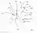 Fig. 03 - Tuft and head for an oral care implement and oral care implement