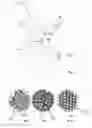 Fig. 04 - Tuft and head for an oral care implement and oral care implement