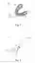 Fig. 03 - CUSTOMIZABLE TOOTHBRUSH TO IMPROVE THE ORAL HYGIENE AND METHOD TO PRODUCE THEREOF