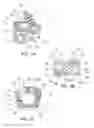 Fig. 02 - Standalone interbody implants