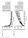 Fig. 02 - Combination therapy intravaginal rings