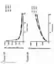 Fig. 07 - Combination therapy intravaginal rings