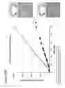 Fig. 22 - Combination therapy intravaginal rings
