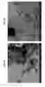 Fig. 07 - UV-PROTECTIVE COMPOSITIONS AND THEIR USE