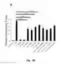 Fig. 09 - COMPOSITIONS AND METHODS TO PROMOTE WOUND HEALING