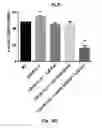 Fig. 22 - COMPOSITIONS AND METHODS TO PROMOTE WOUND HEALING
