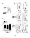 Fig. 08 - THIN-SHELL POLYMERIC NANOPARTICLES AND USES THEREOF