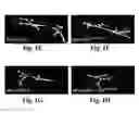 Fig. 03 - Compositions and Methods for Treating Alzheimer's Disease and Other Tauopathies