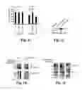 Fig. 04 - Compositions and Methods for Treating Alzheimer's Disease and Other Tauopathies