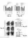 Fig. 09 - Compositions and Methods for Treating Alzheimer's Disease and Other Tauopathies