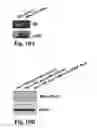 Fig. 18 - Compositions and Methods for Treating Alzheimer's Disease and Other Tauopathies