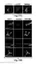 Fig. 27 - Compositions and Methods for Treating Alzheimer's Disease and Other Tauopathies
