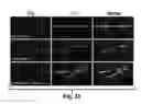 Fig. 28 - Compositions and Methods for Treating Alzheimer's Disease and Other Tauopathies
