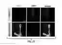 Fig. 29 - Compositions and Methods for Treating Alzheimer's Disease and Other Tauopathies