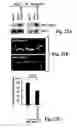 Fig. 30 - Compositions and Methods for Treating Alzheimer's Disease and Other Tauopathies
