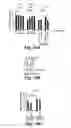 Fig. 34 - Compositions and Methods for Treating Alzheimer's Disease and Other Tauopathies