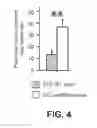 Fig. 05 - Nucleic acid molecule
