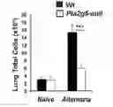 Fig. 01 - Use of PLA2G5-deficient suppressive macrophages in suppression of inflammation